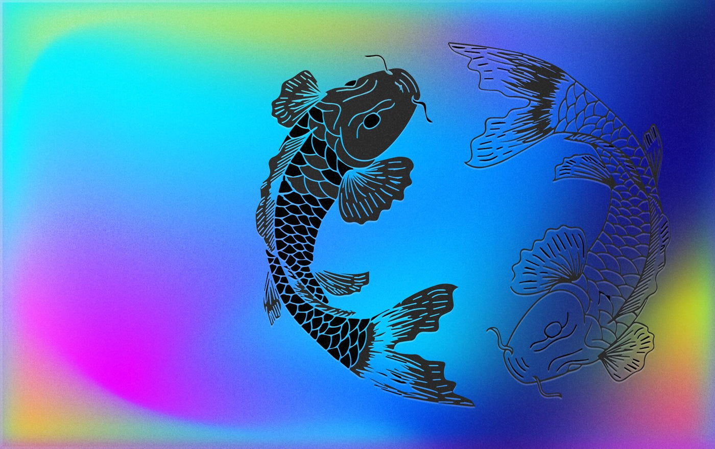 Koi
