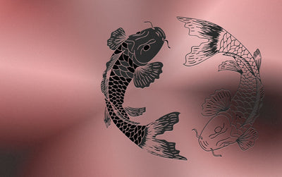 Koi