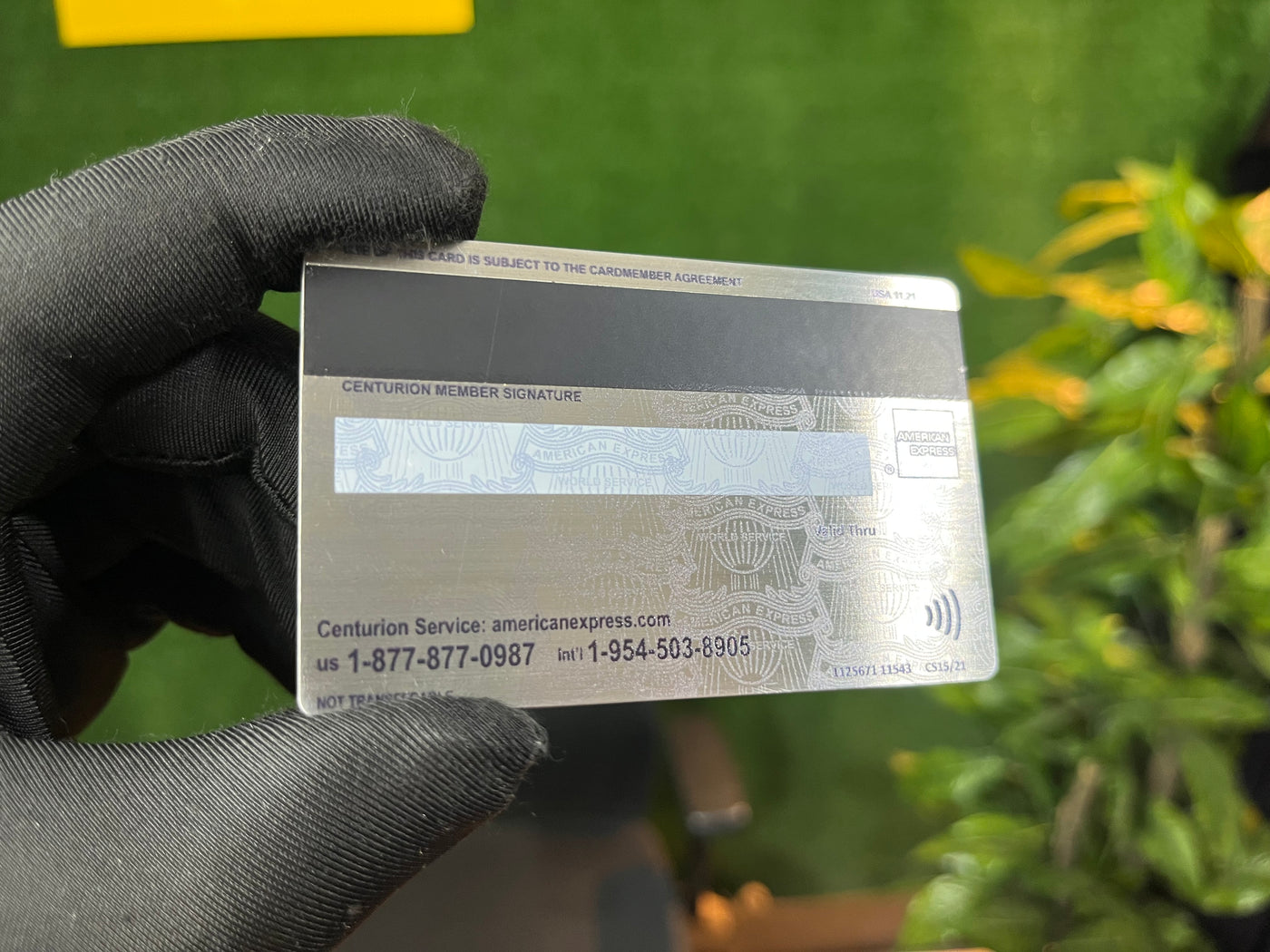 PLATINUM AMEX
