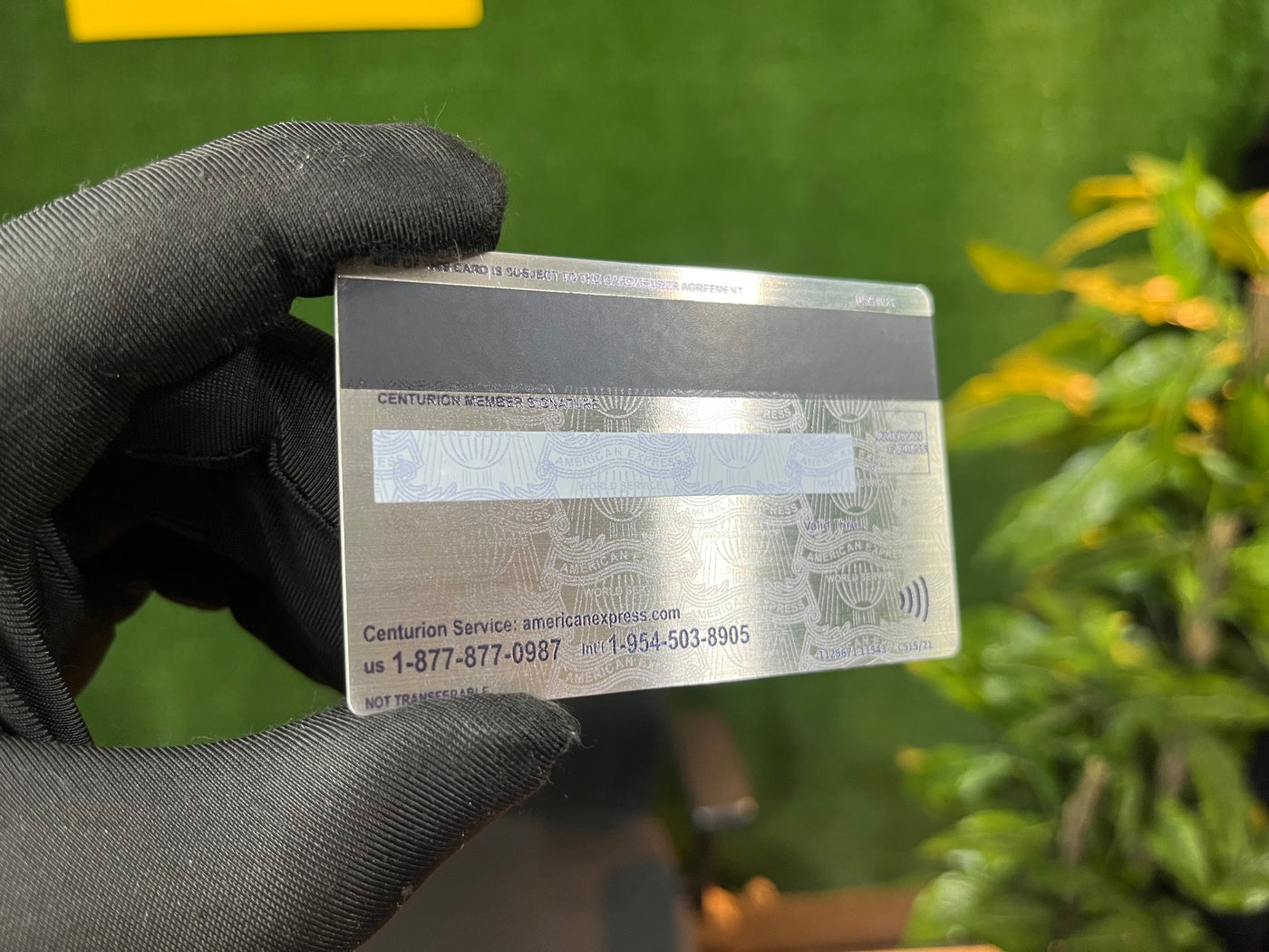 PLATINUM AMEX