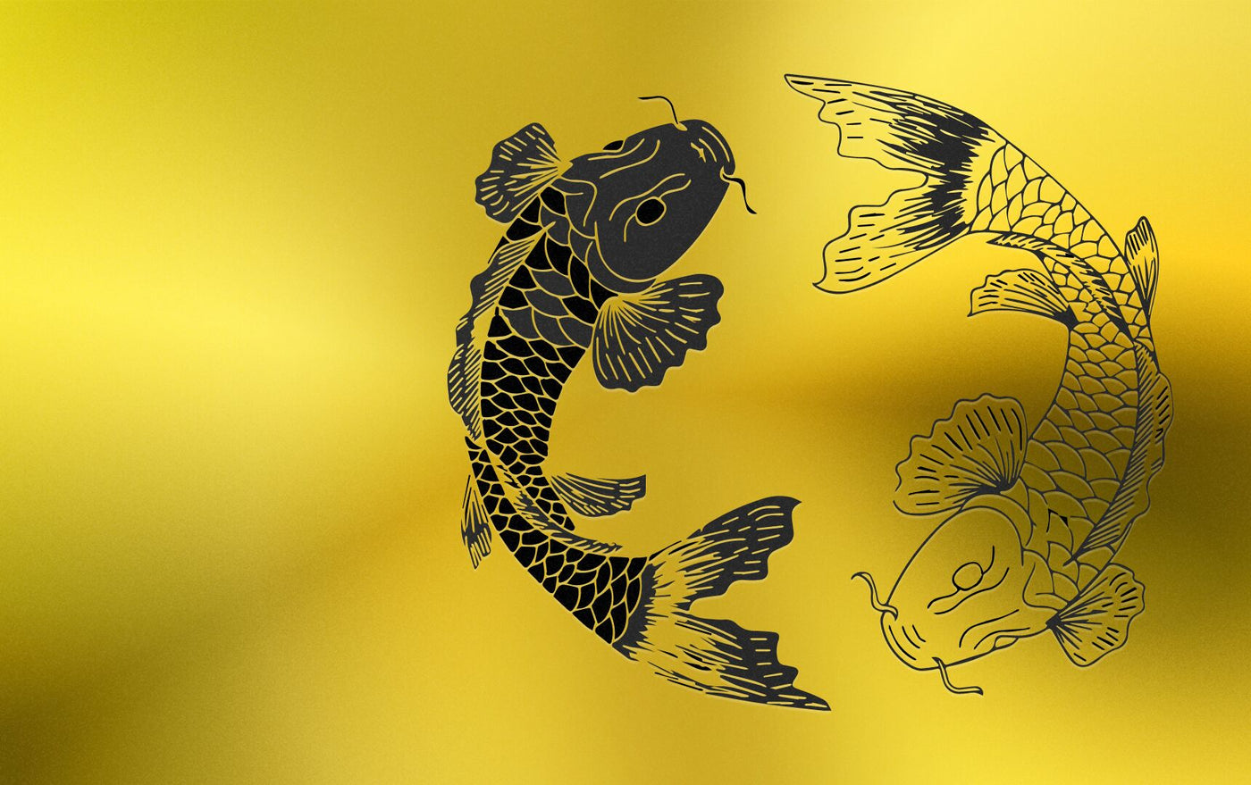 Koi