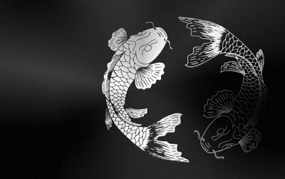 Koi